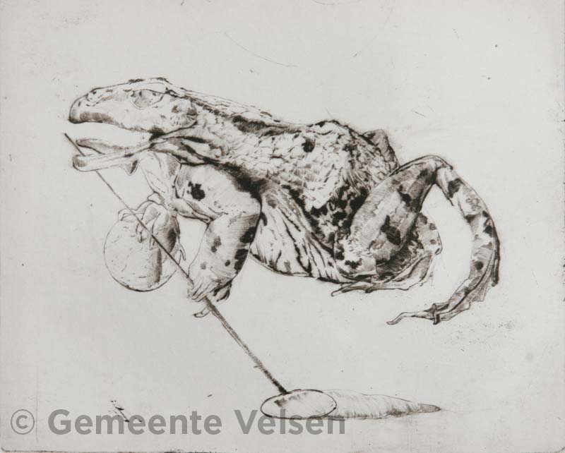 Foto van Raba Esculenta met vangnet